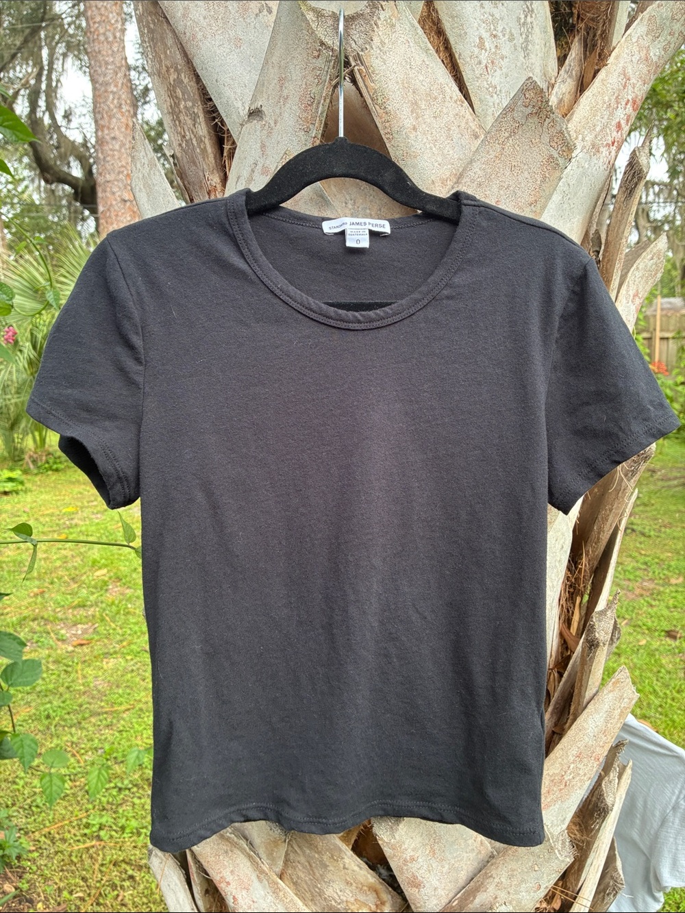 James perse cropped t-shirt